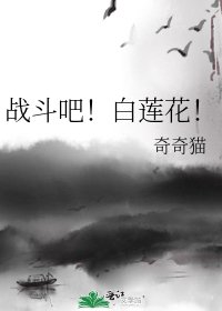 战斗吧!白莲花!